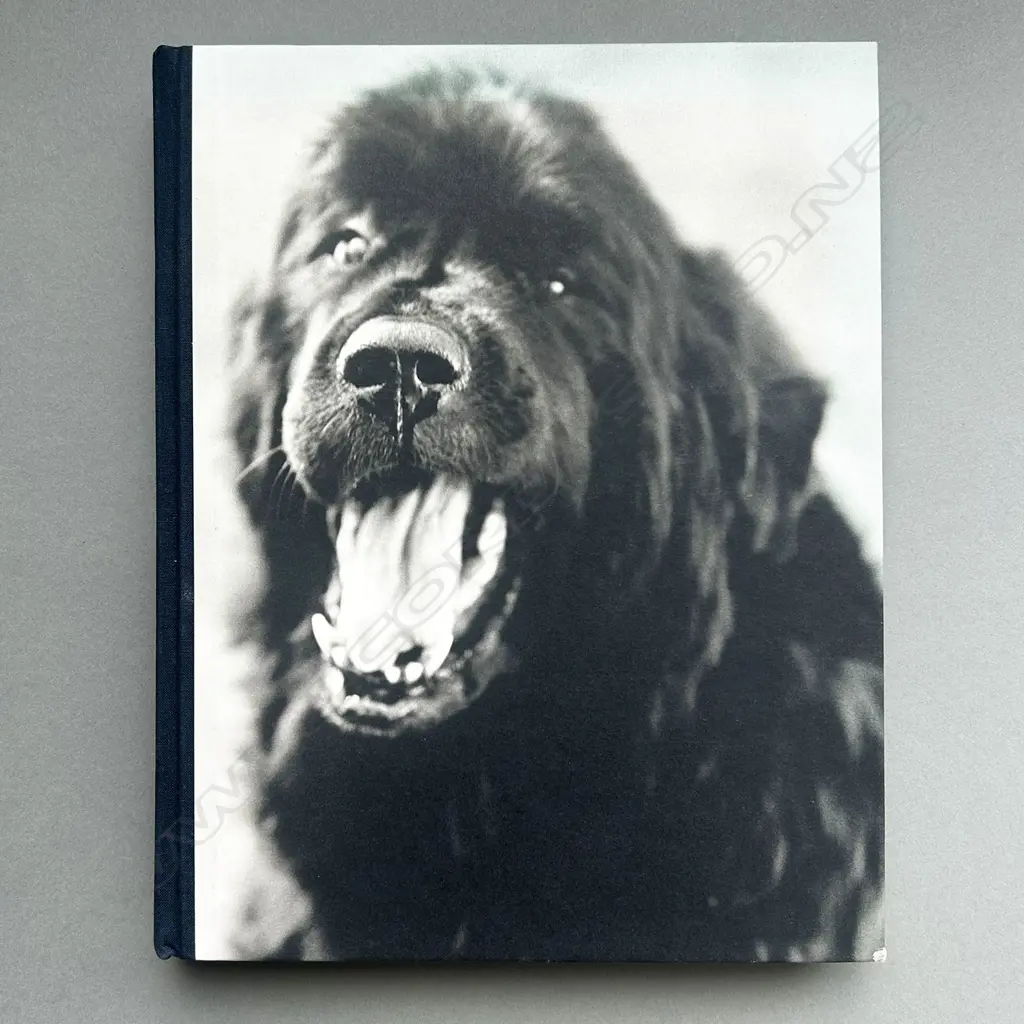 BRUCE WEBER: GENTLE GIANTS A BOOK OF NEWFOUNDLANDS Image 1++